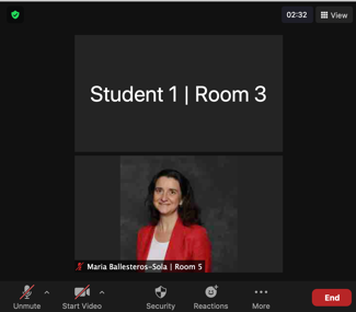 Screenshot of Zoom Meeting showing the rename participant idea in practice. The first participant, is Student 1 Room 3 and the second is Maria Ballesteros-Sola Room 5.