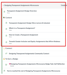 Screenshot of TLC 101 Canvas Module organization that shows the content items provided in the list above it.